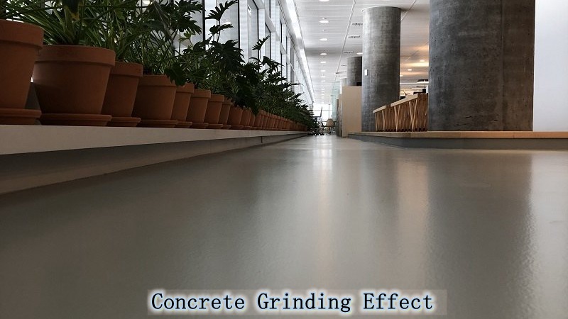 Double Pins Grinding Shoes Concrete Grinding Plate